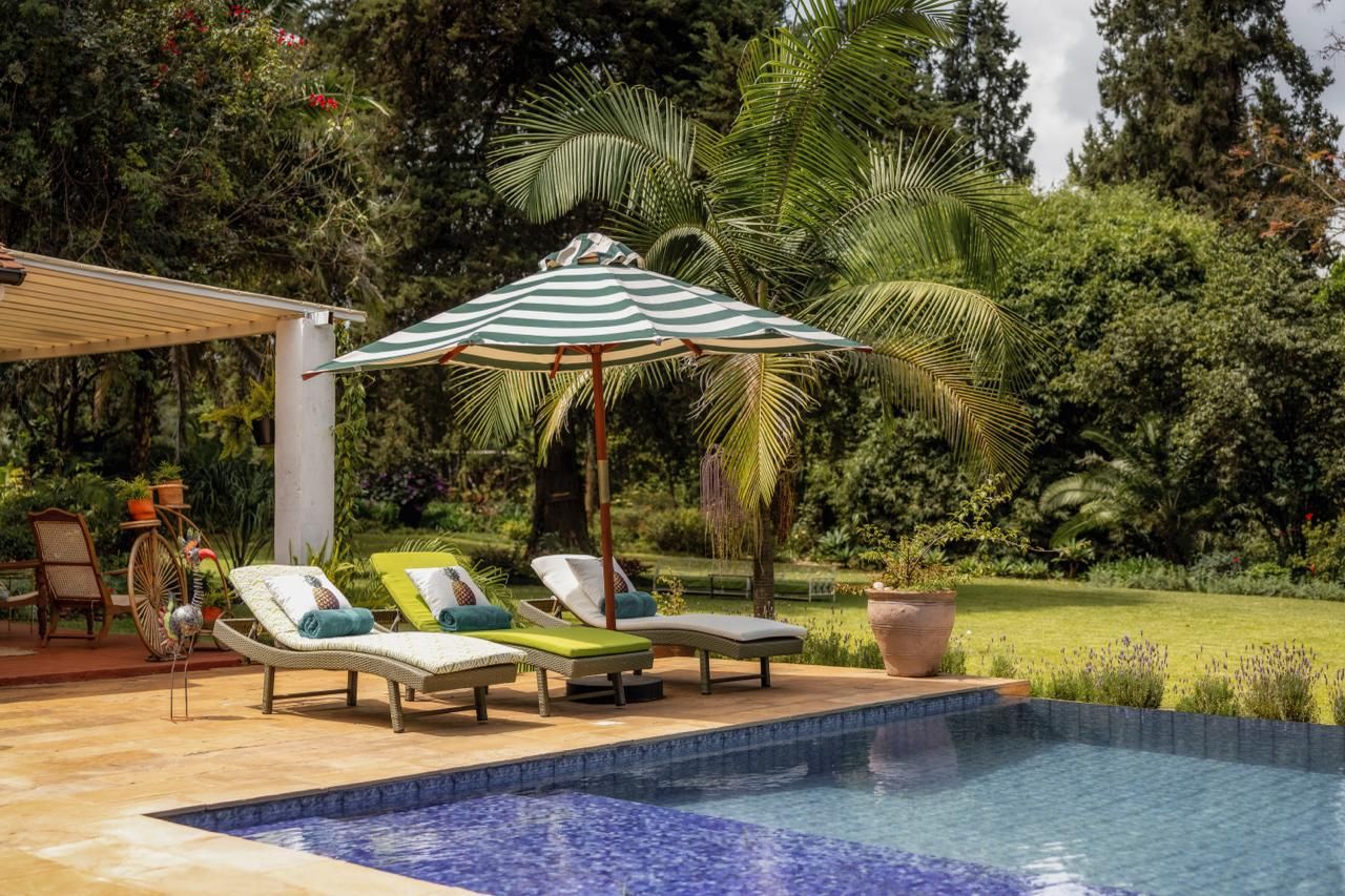 Loungers by the pool